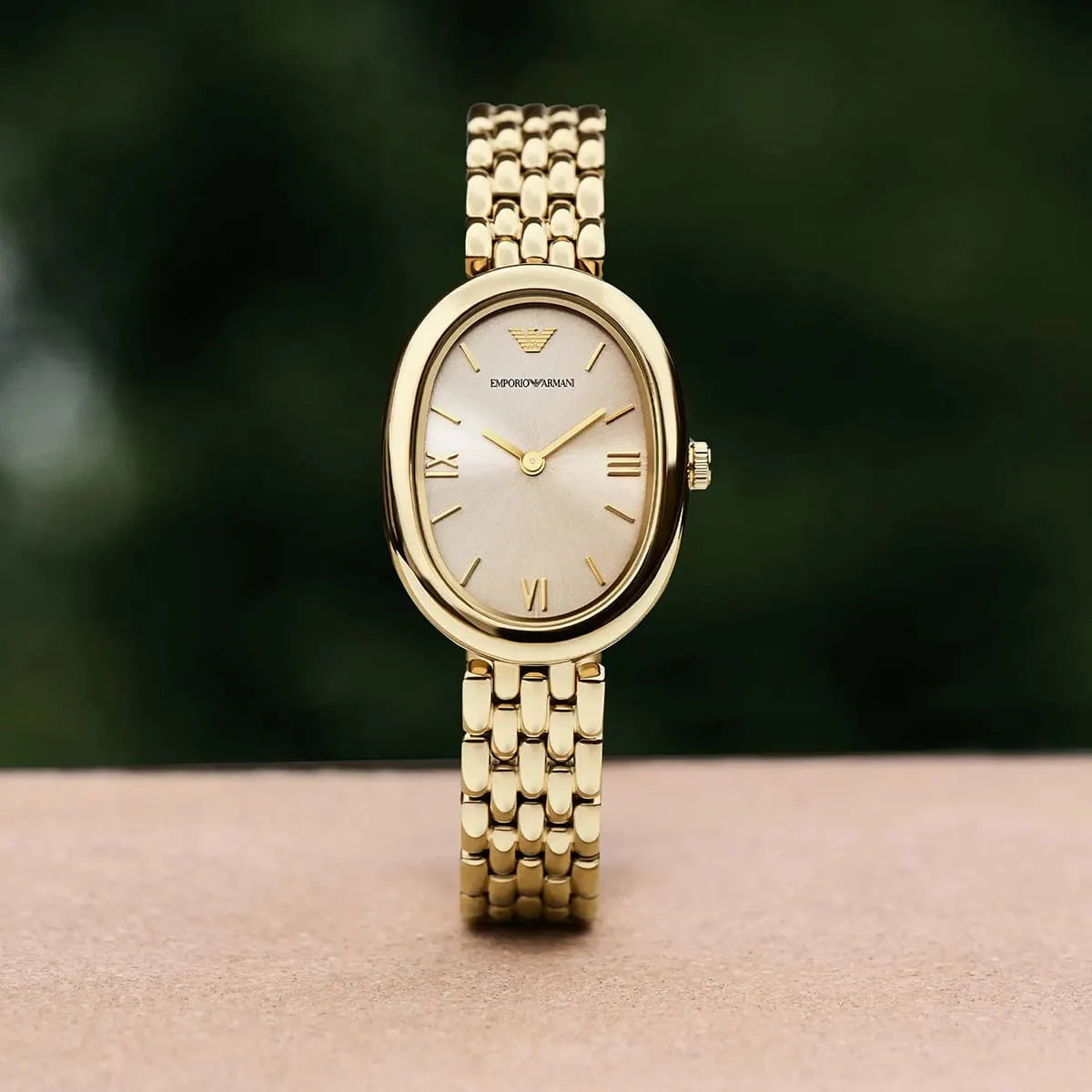 Emporio Armani Women's Watch AR11707