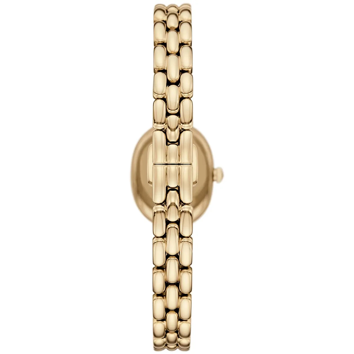 Emporio Armani Women's Watch AR11721