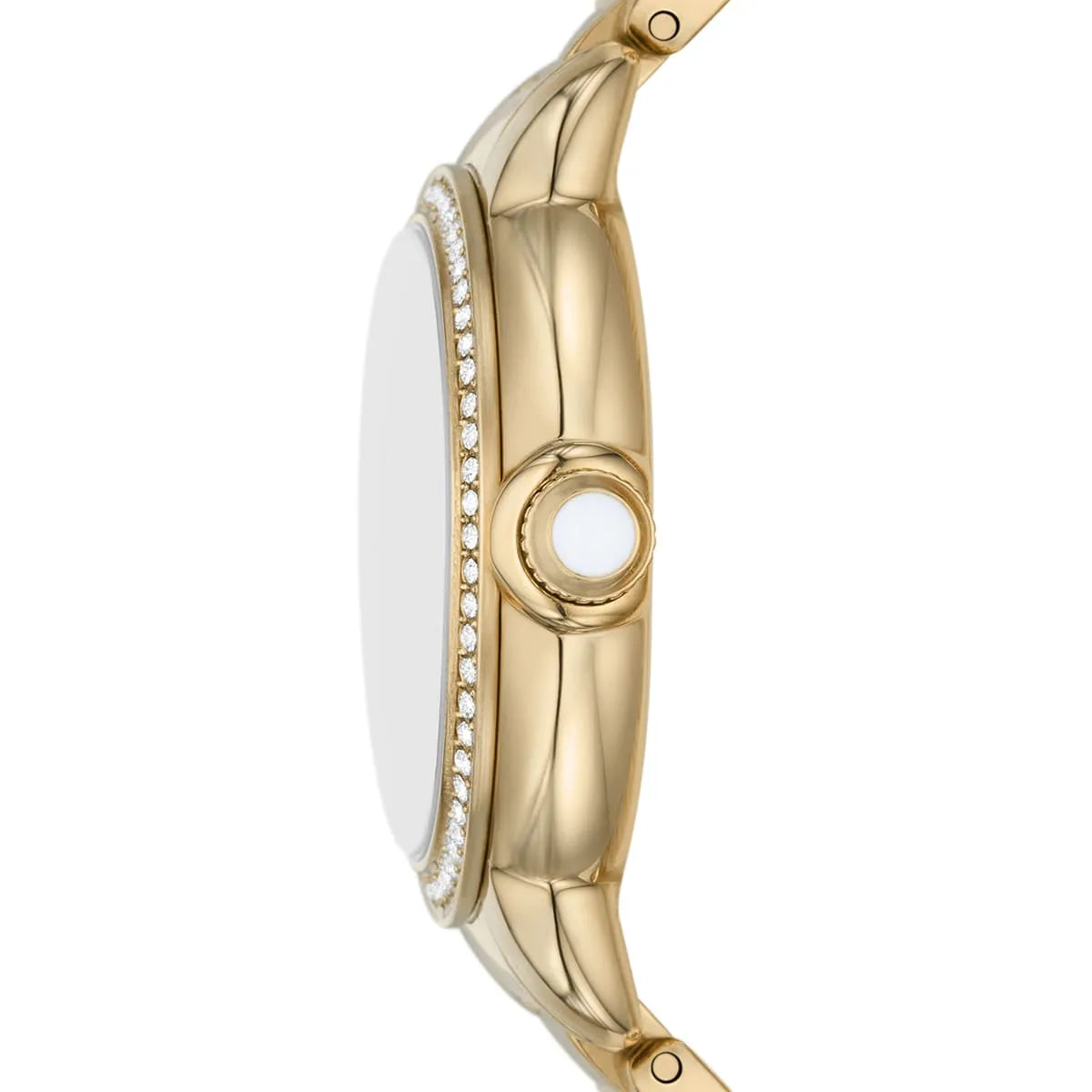 Emporio Armani Women's Watch AR11609