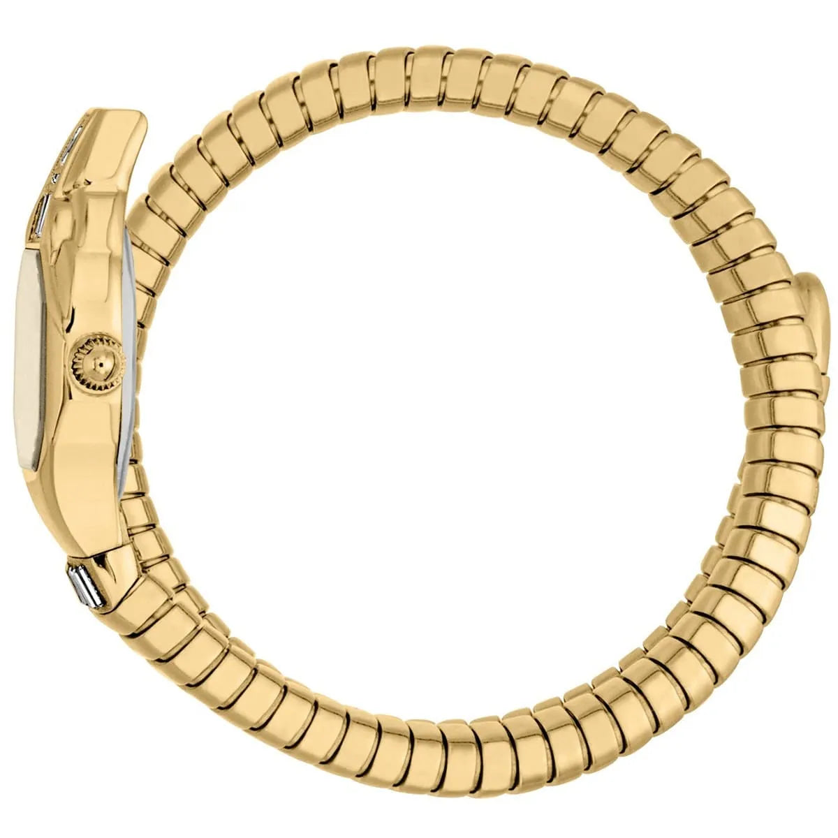 ساعة جست كافالي Just Cavalli للنساء JC1L326M0025